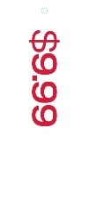 9.99 Hangtag